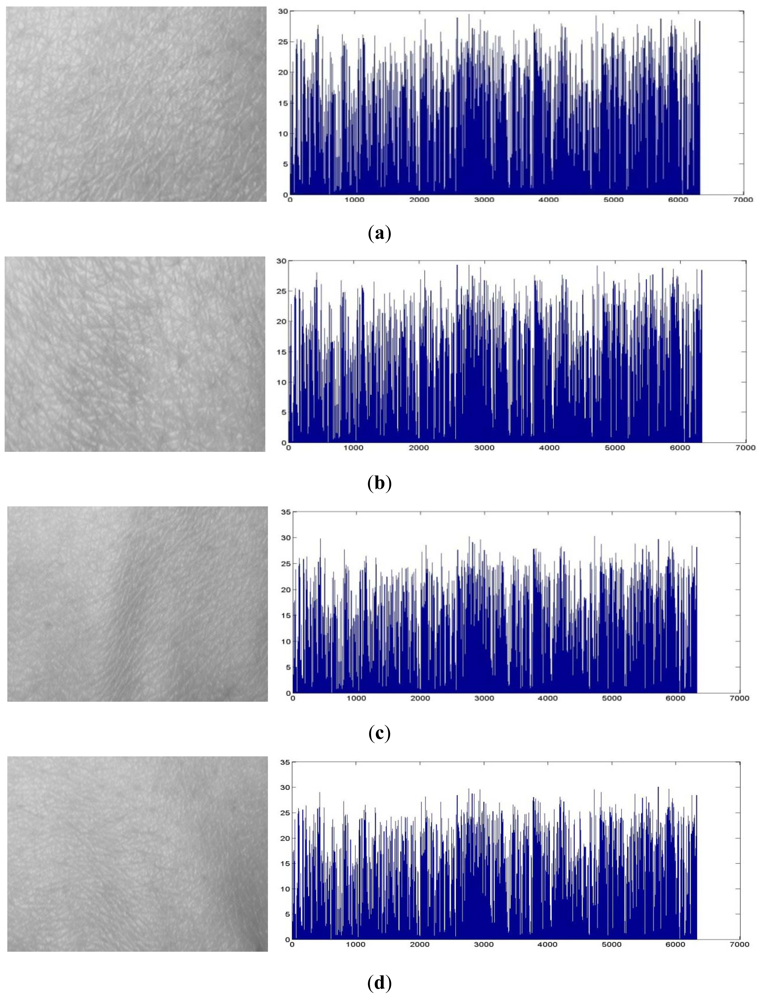 Sensors 12 08691f7 1024