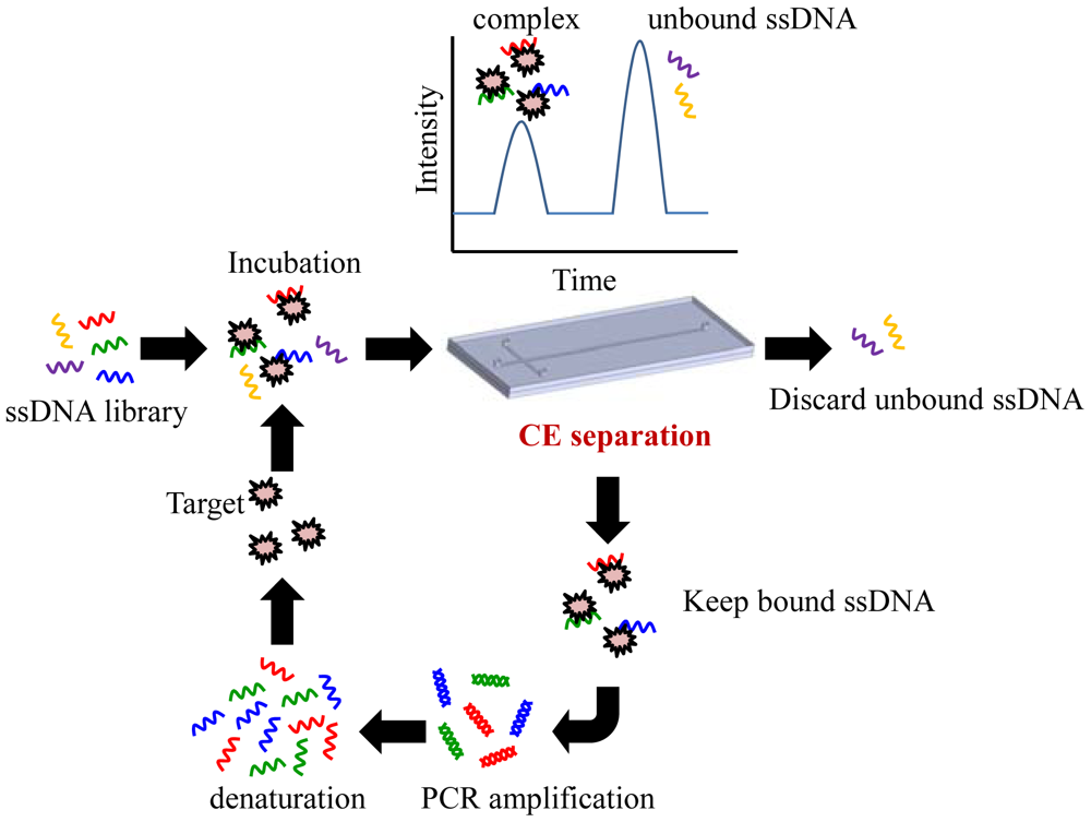 Sensors 12 09514f1 1024