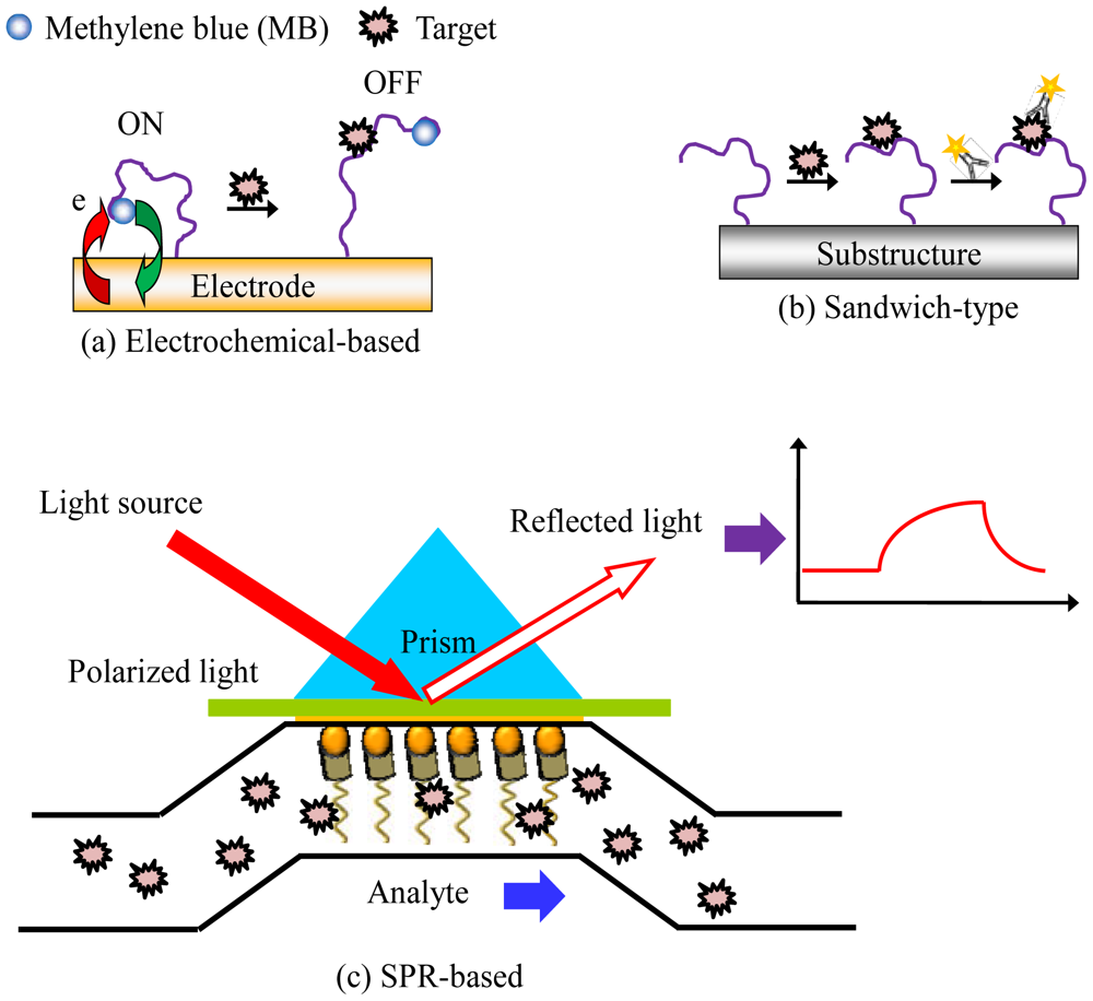 Sensors 12 09514f6 1024