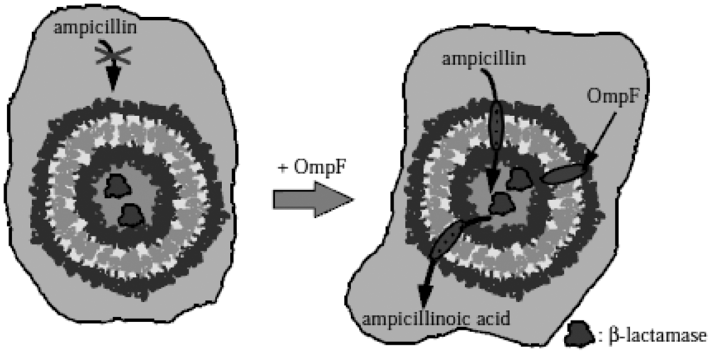 Sensors 12 09530f14 1024