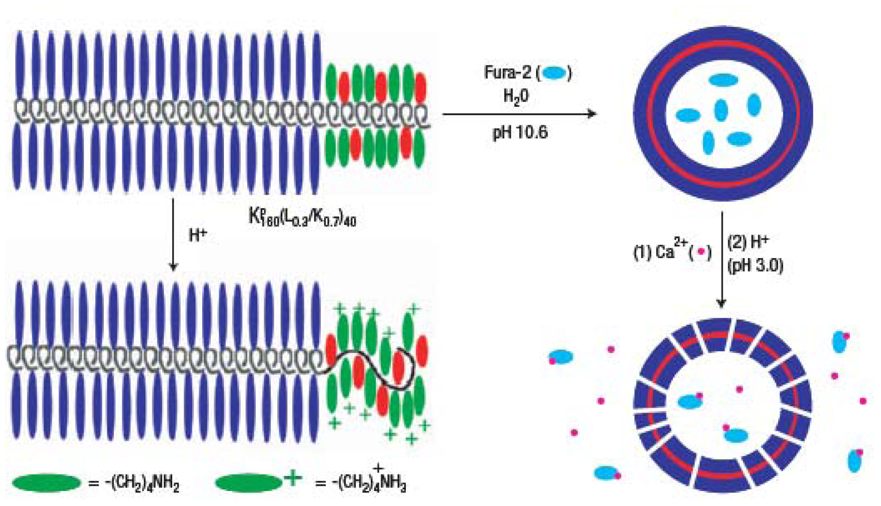 Sensors 12 09530f6 1024