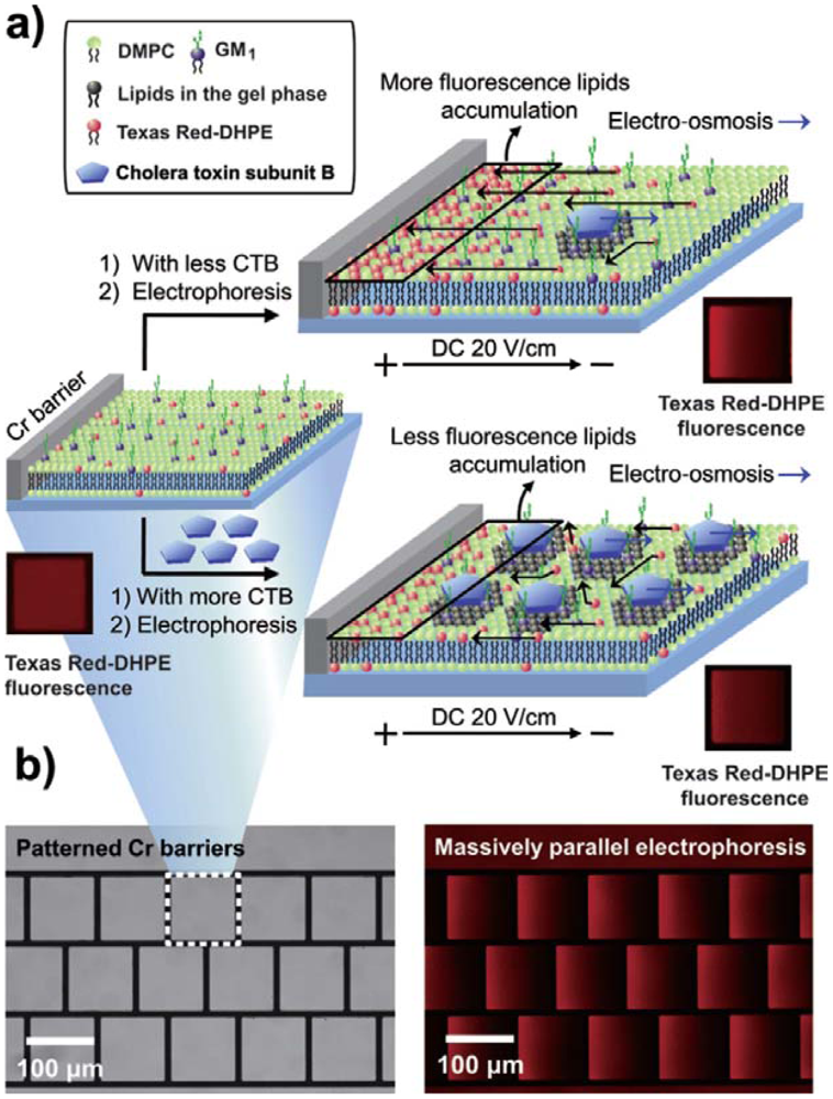 Sensors 12 09530f8 1024