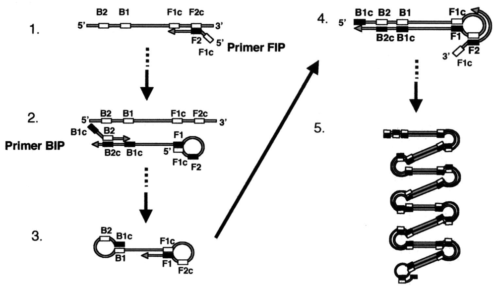 Sensors 12 10713f14 1024