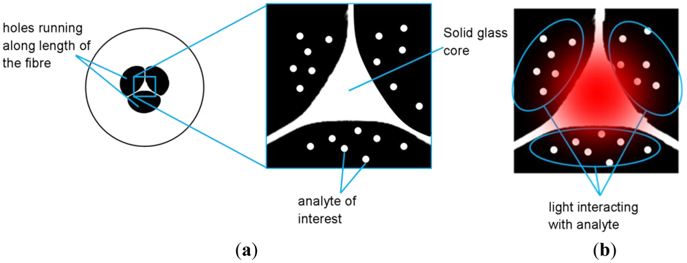 Sensors 12 10759f1 1024