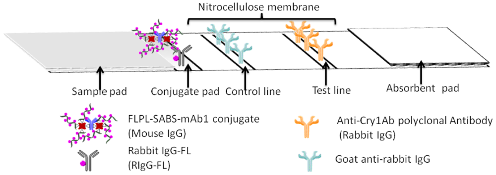 Sensors 12 11684f2 1024