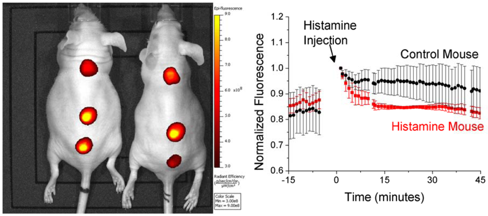 Sensors 12 11922f6 1024