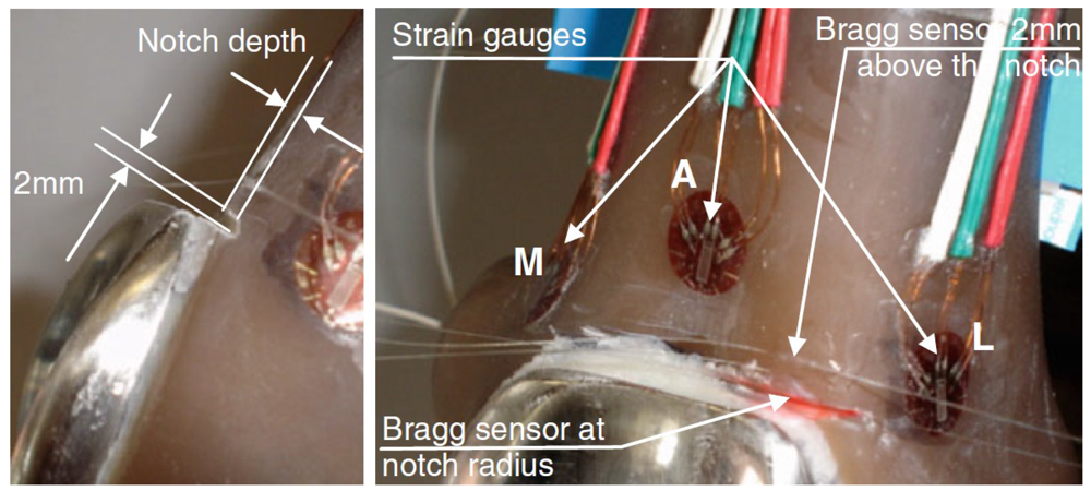 Sensors 12 12890f5 1024