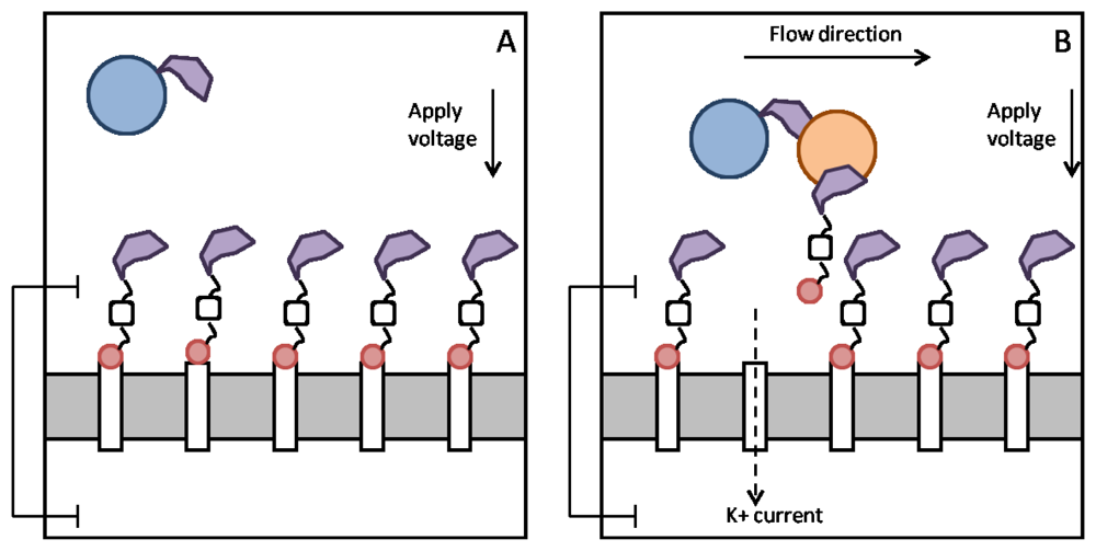 Sensors 12 13720f5 1024