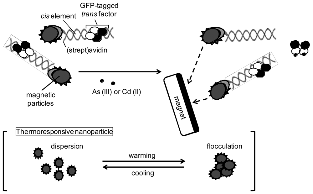 Sensors 12 14041f1 1024