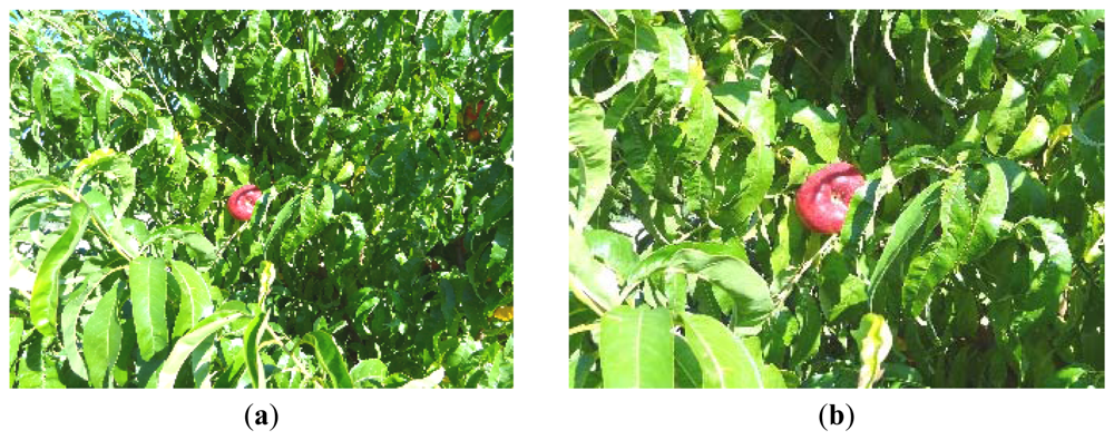 Sensors 12 14129f6 1024