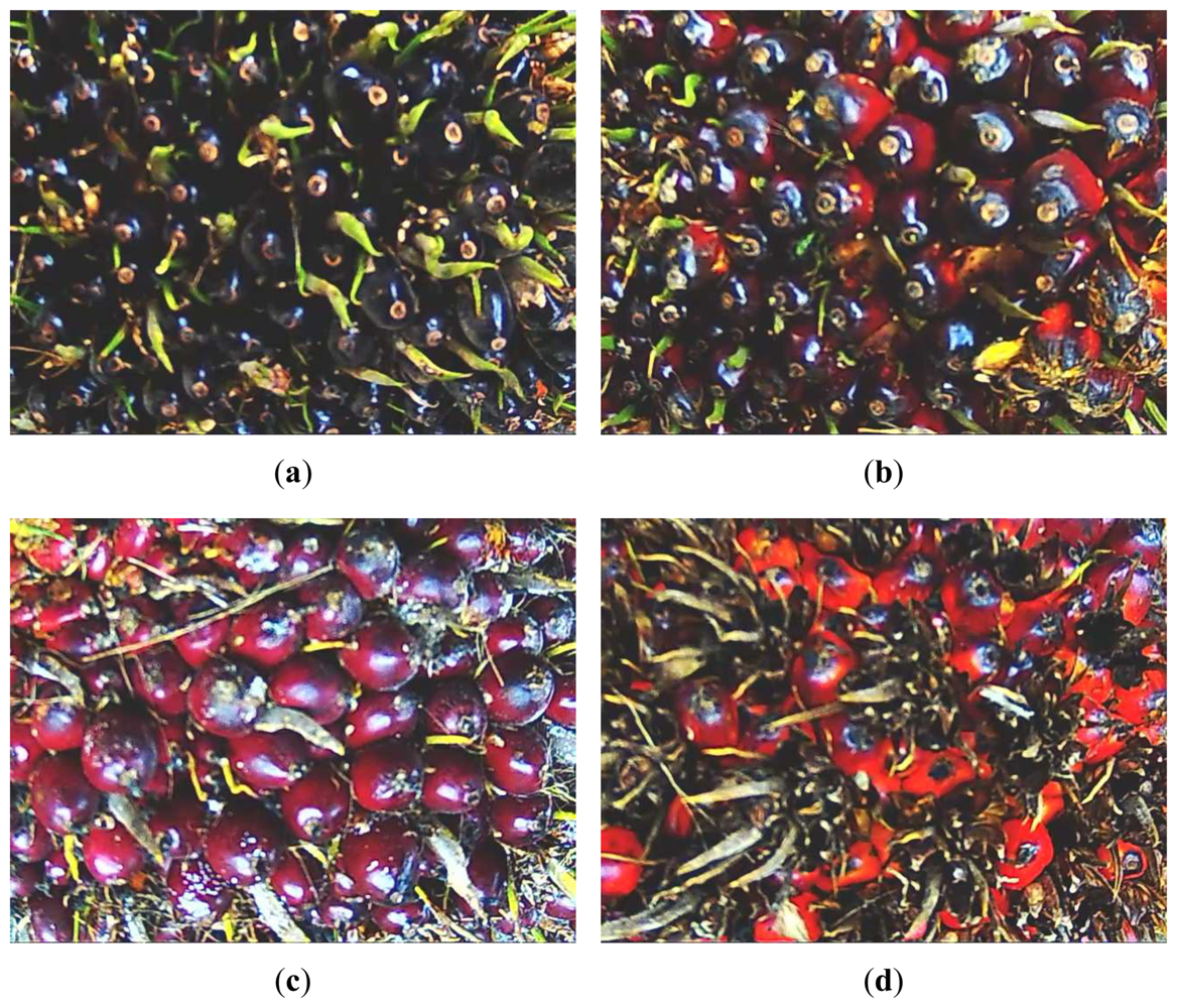 Sensors 12 14179f2 1024