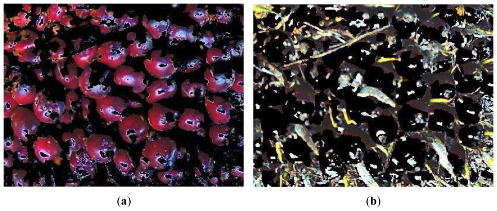 Sensors 12 14179f3 1024