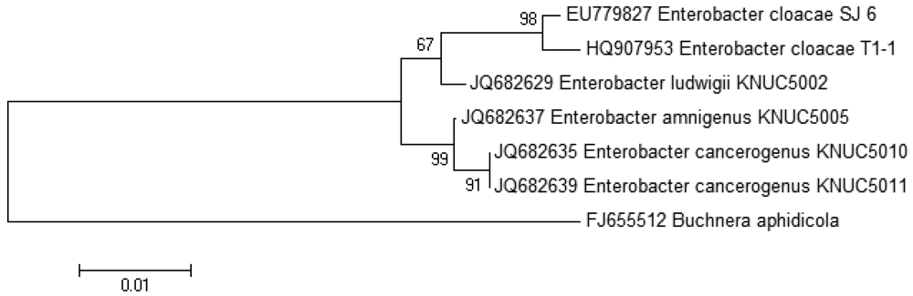 Sensors 12 14307f1 1024
