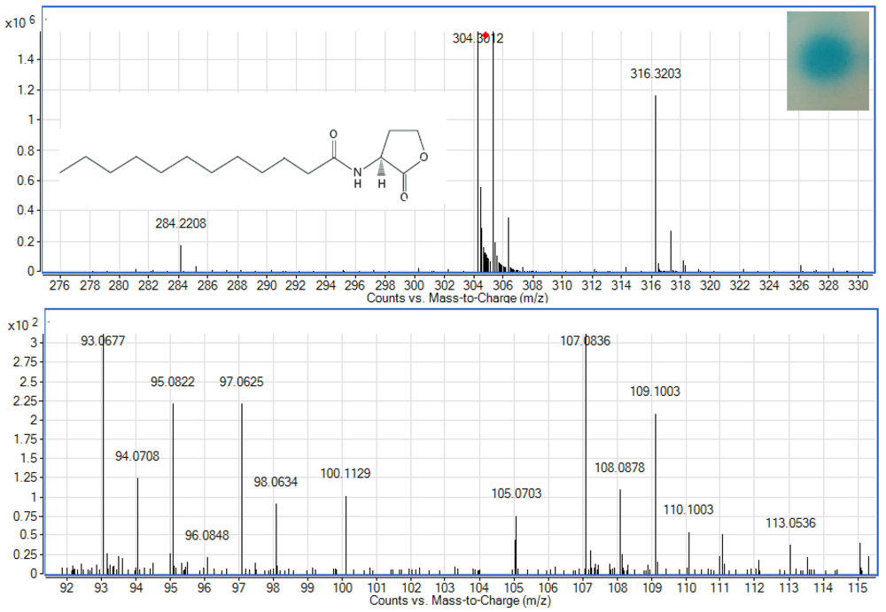 Sensors 12 14307f2 1024