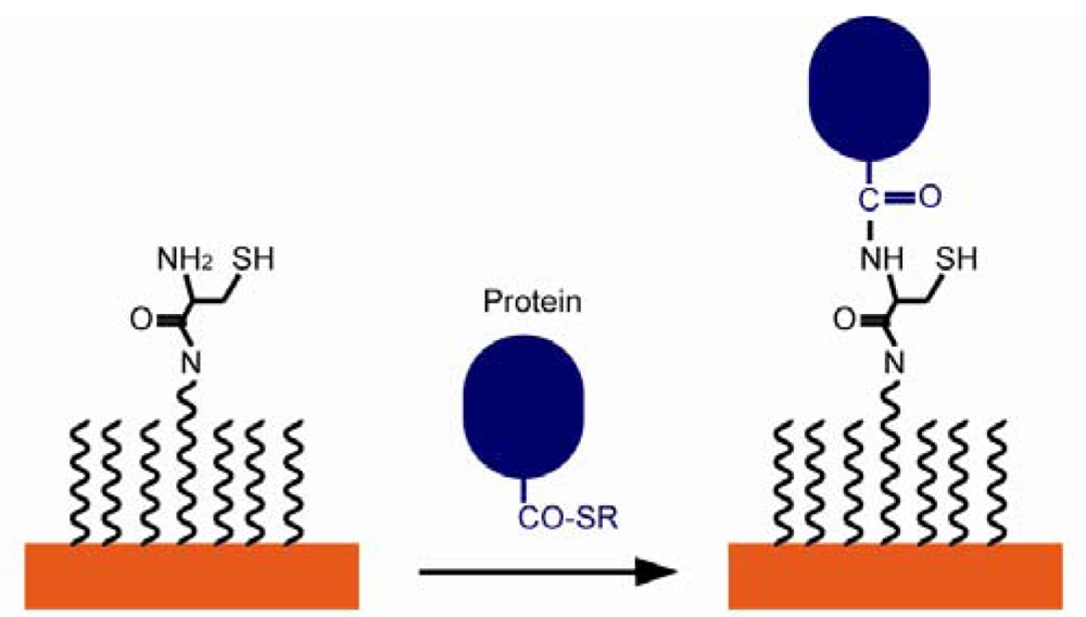Sensors 12 15036f12 1024
