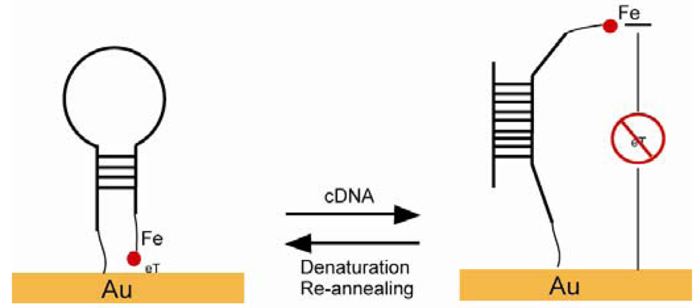 Sensors 12 15036f14 1024