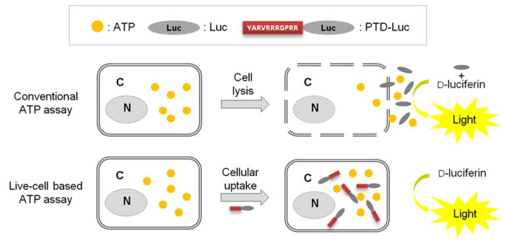Sensors 12 15628f1 1024