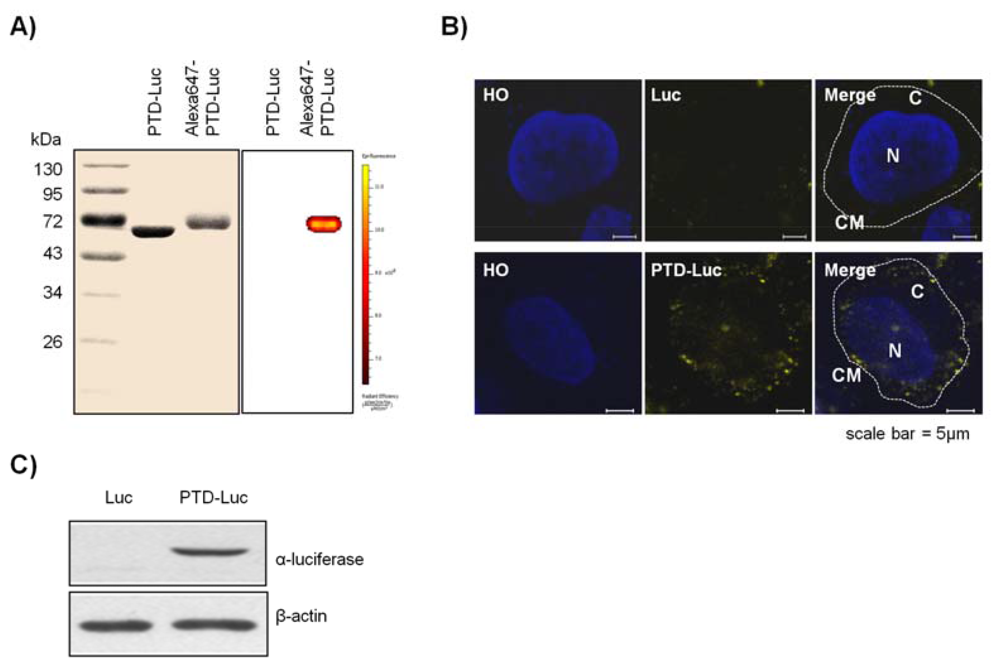 Sensors 12 15628f2 1024