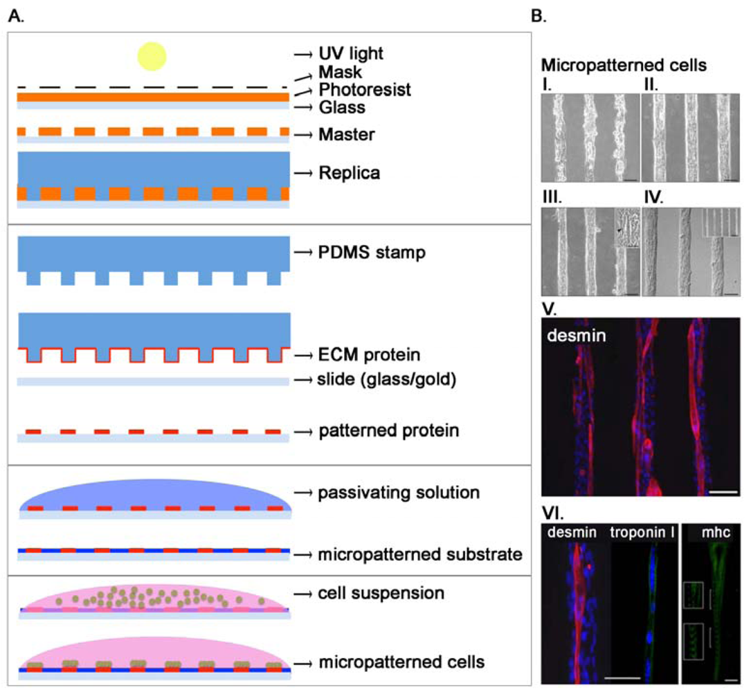 Sensors 12 15947f3 1024
