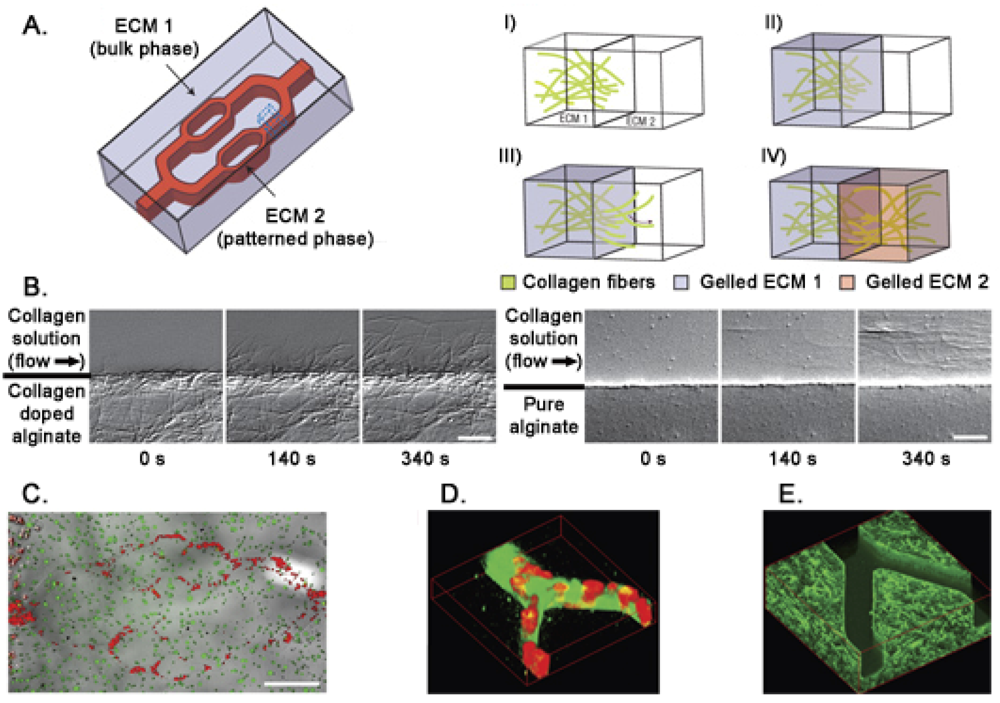 Sensors 12 15947f4 1024