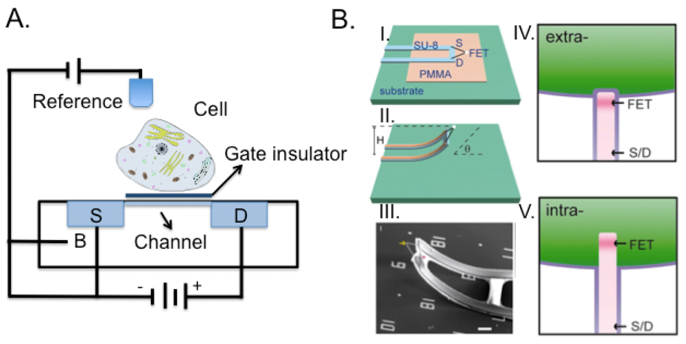 Sensors 12 15947f7 1024