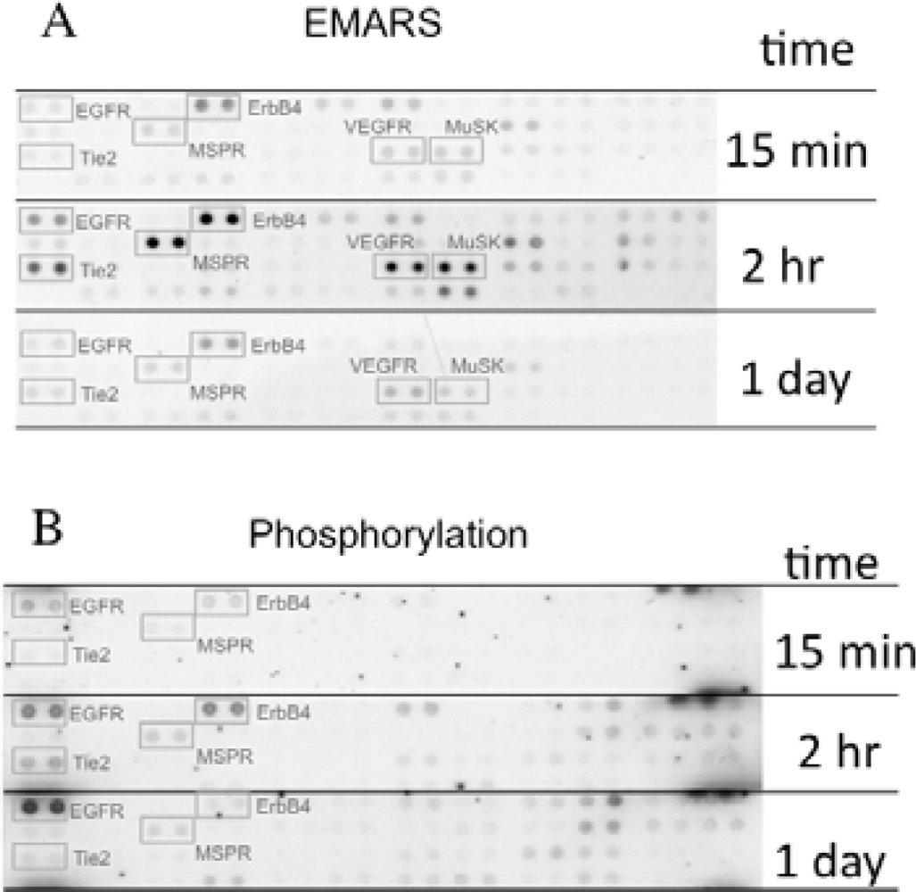 Sensors 12 16037f3 1024