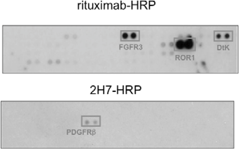 Sensors 12 16037f4 1024