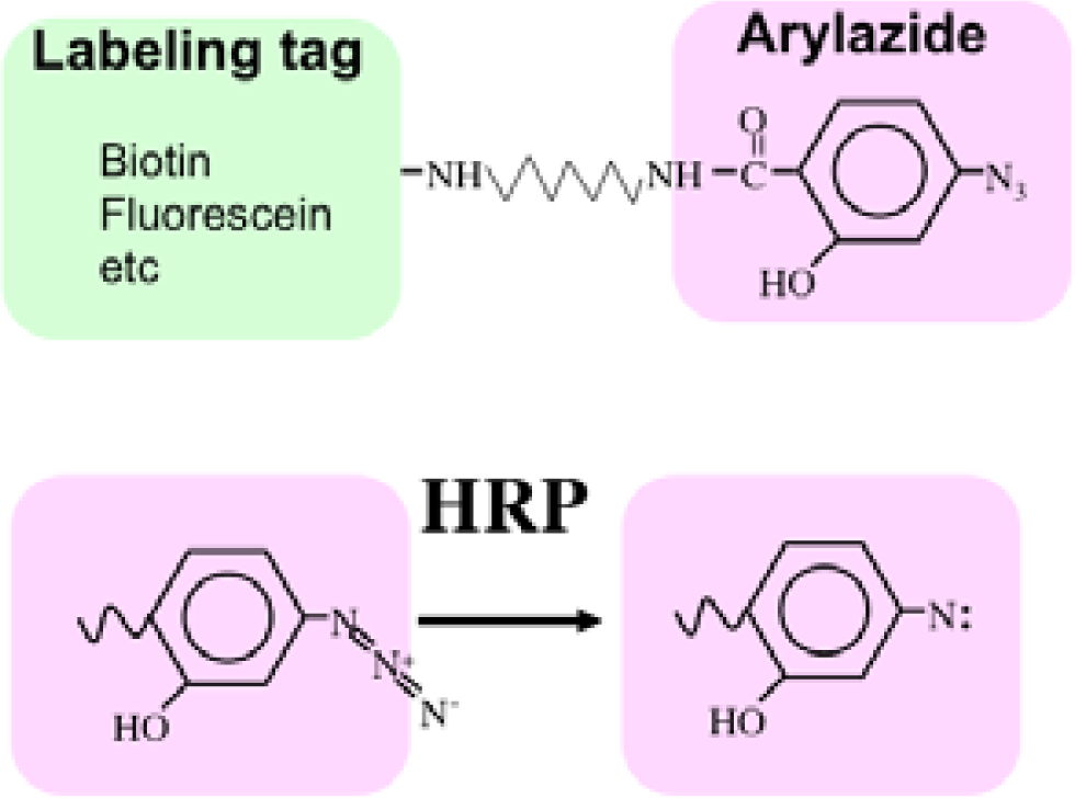 Sensors 12 16037f5 1024
