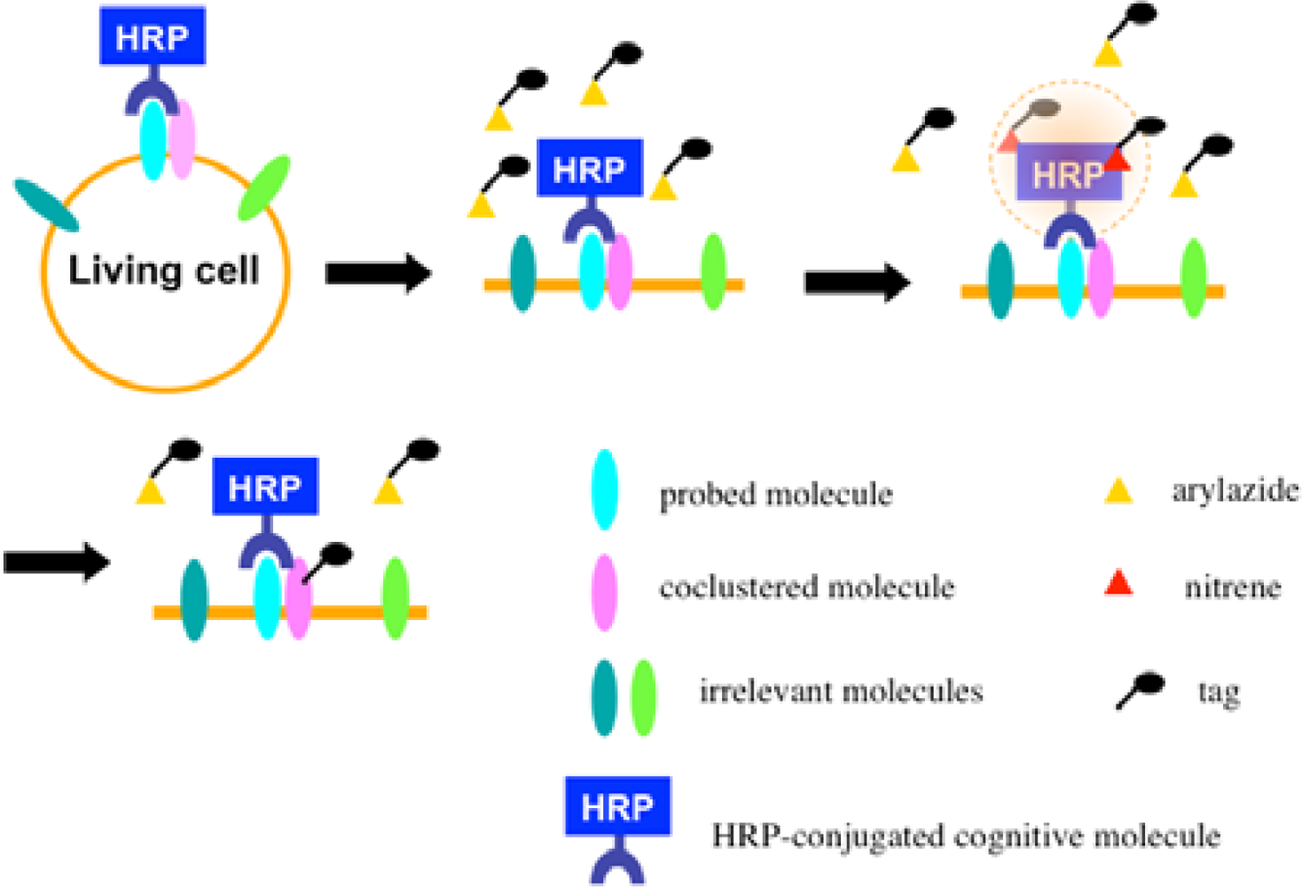 Sensors 12 16037f6 1024