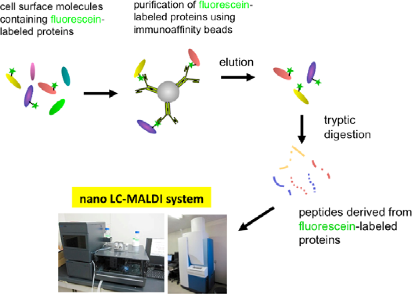 Sensors 12 16037f7 1024