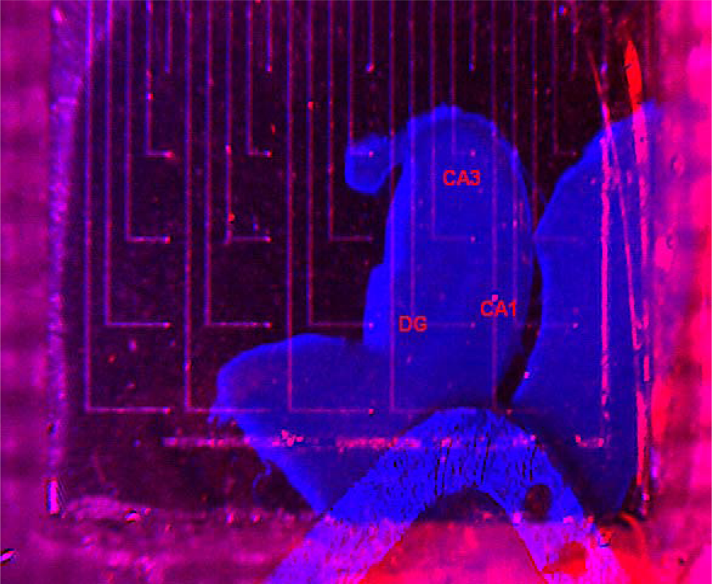 Sensors 12 16571f9 1024