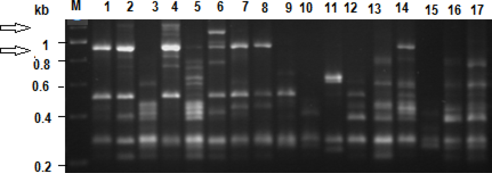 Sensors 12 17155f2 1024