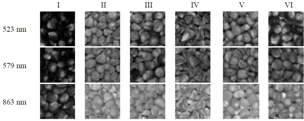 Sensors 12 17234f6 1024