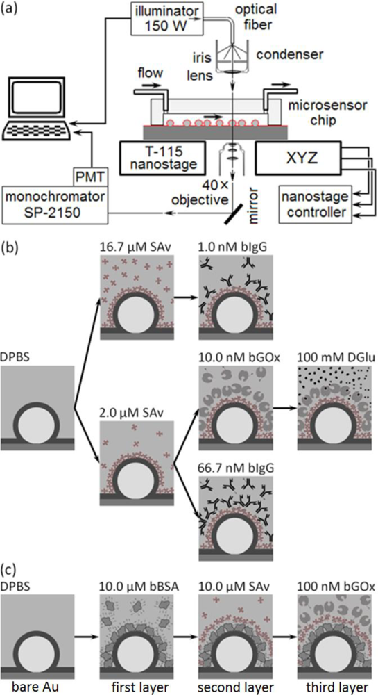 Sensors 12 17262f3 1024