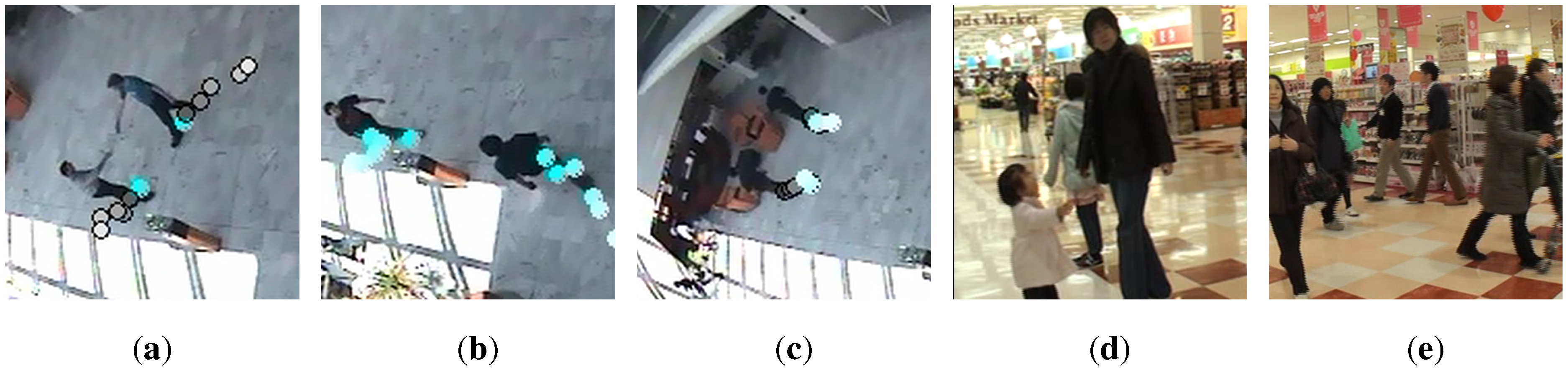 Sensors 13 00875 g008a 550