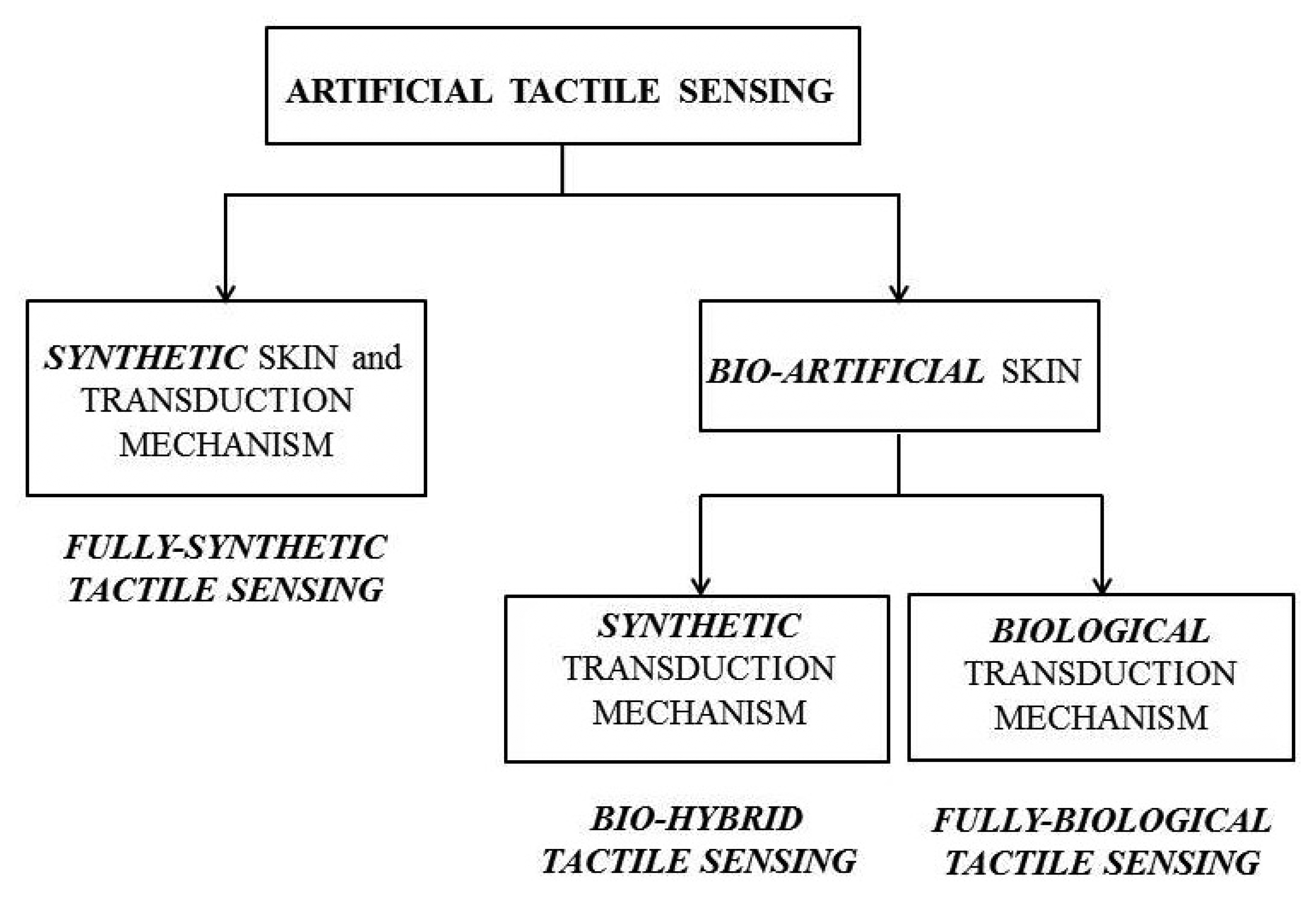 Sensors 13 01435f2 1024