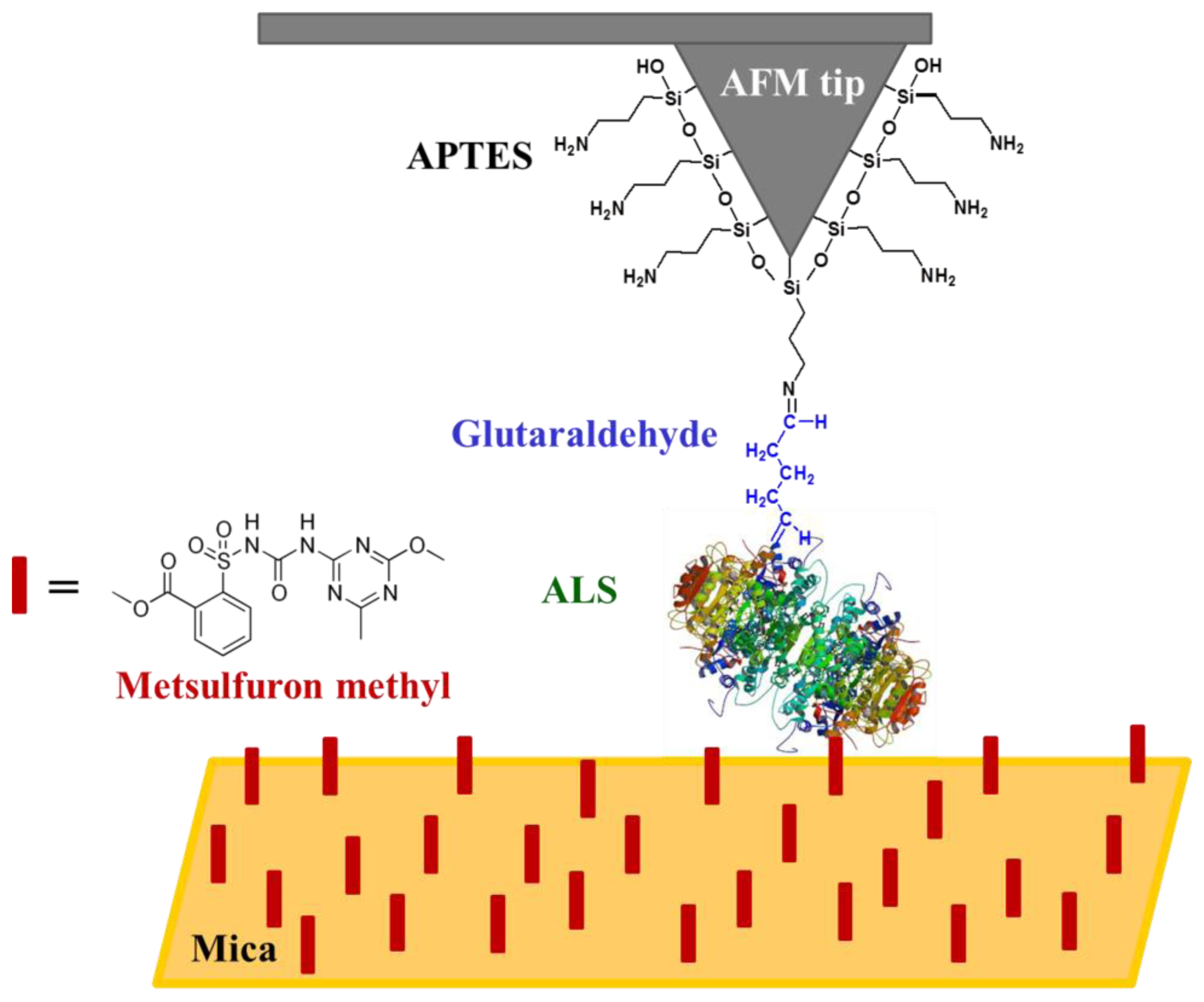Sensors 13 01477f3 1024
