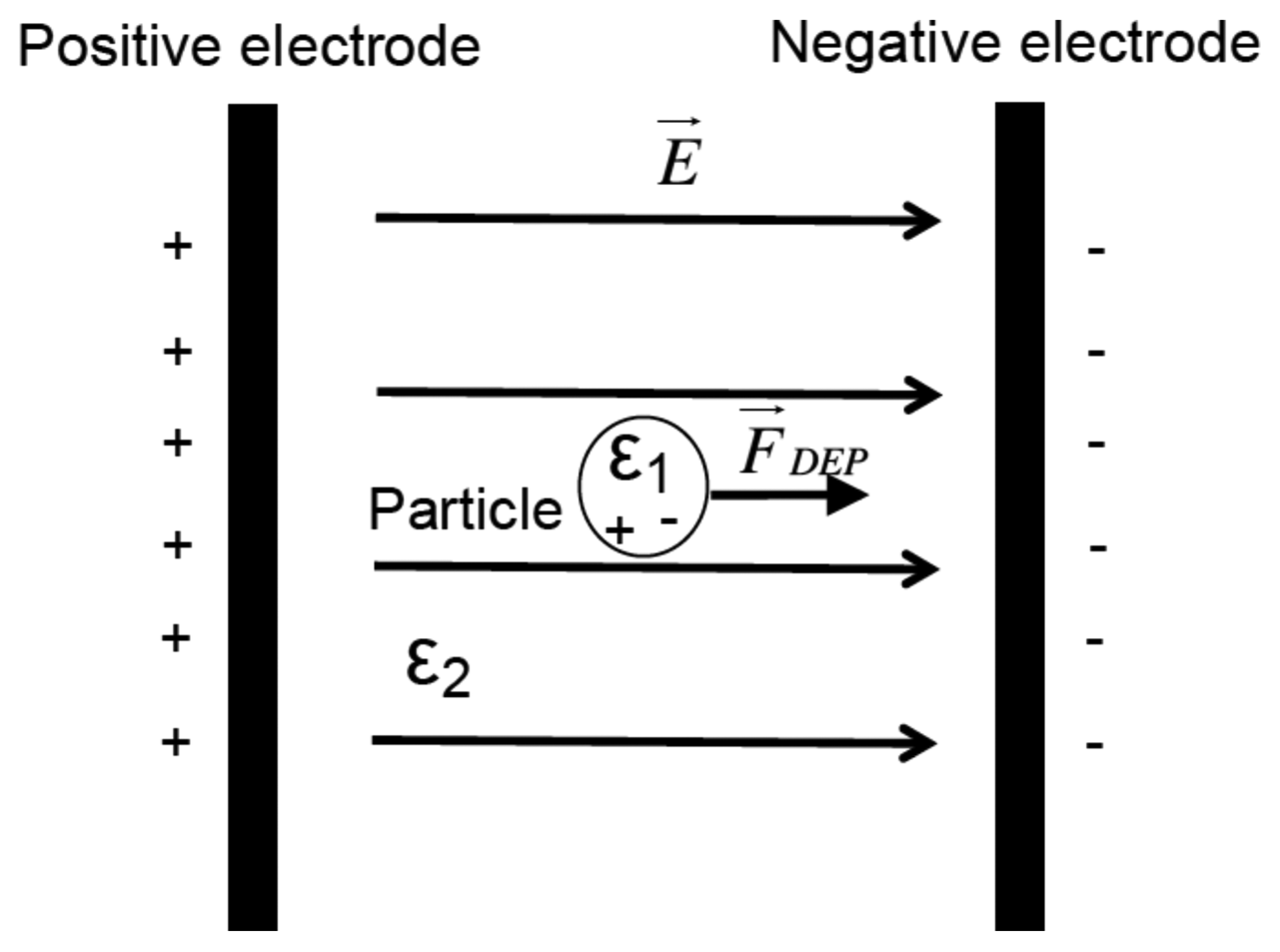 Sensors 13 01730f1 1024