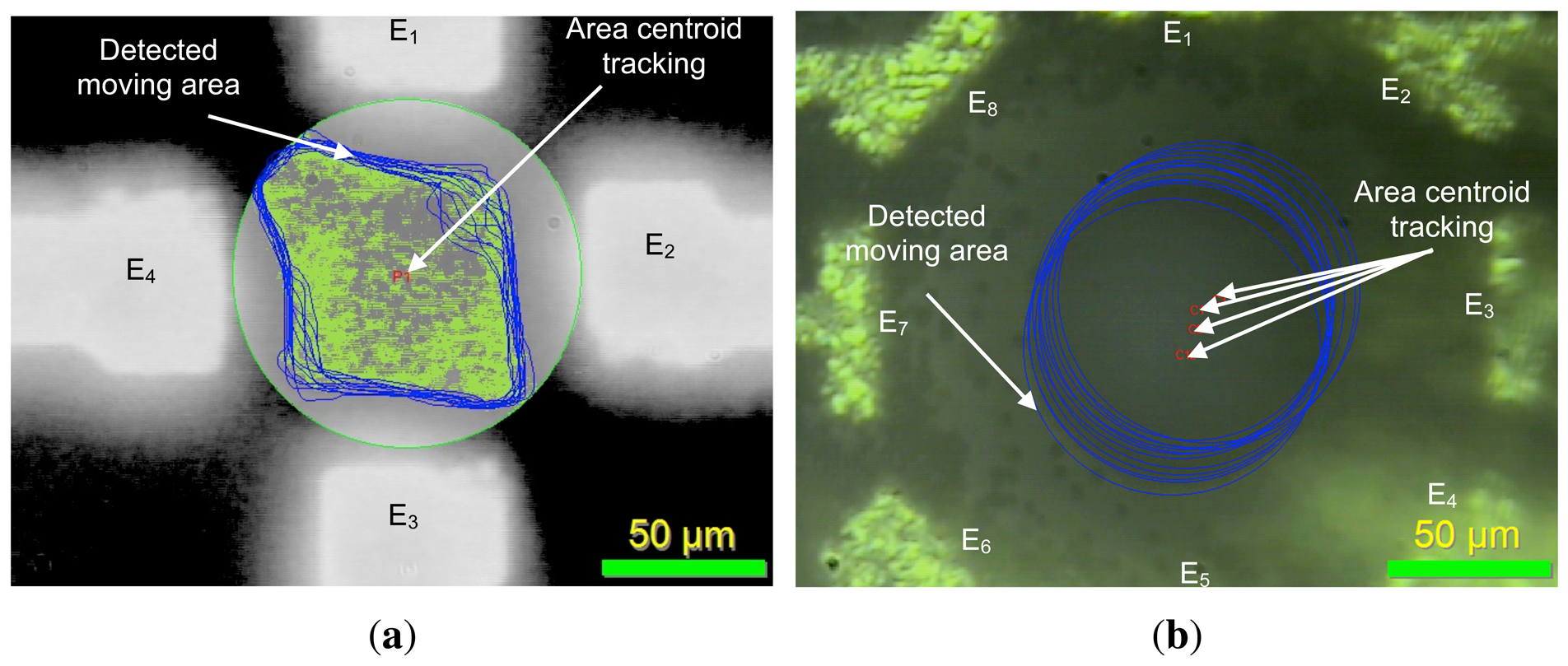 Sensors 13 01730f18 1024