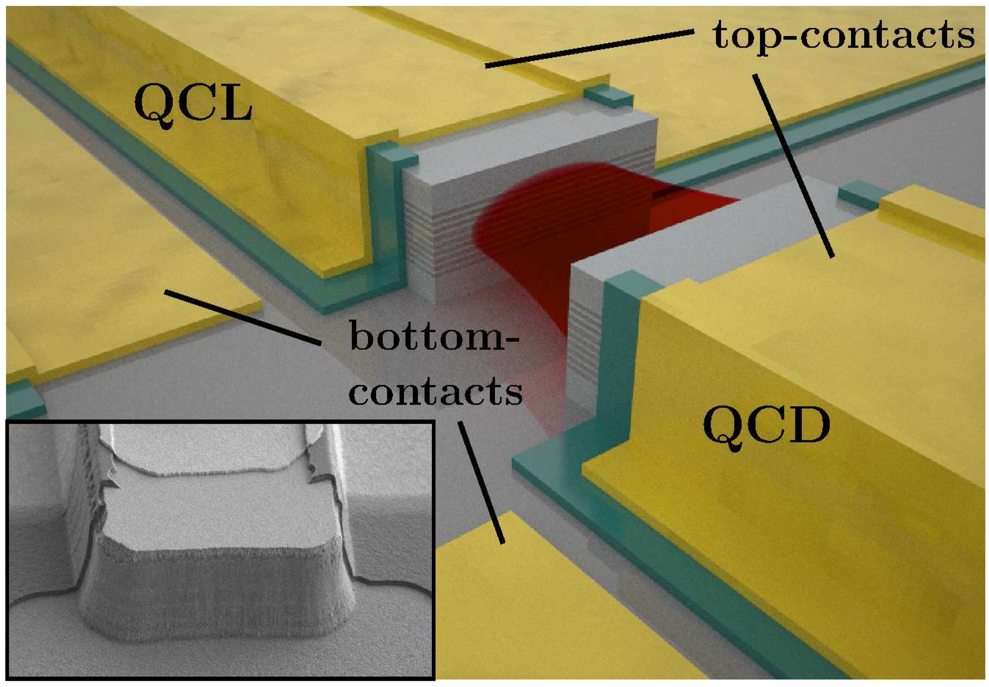 Sensors 13 02196f2 1024