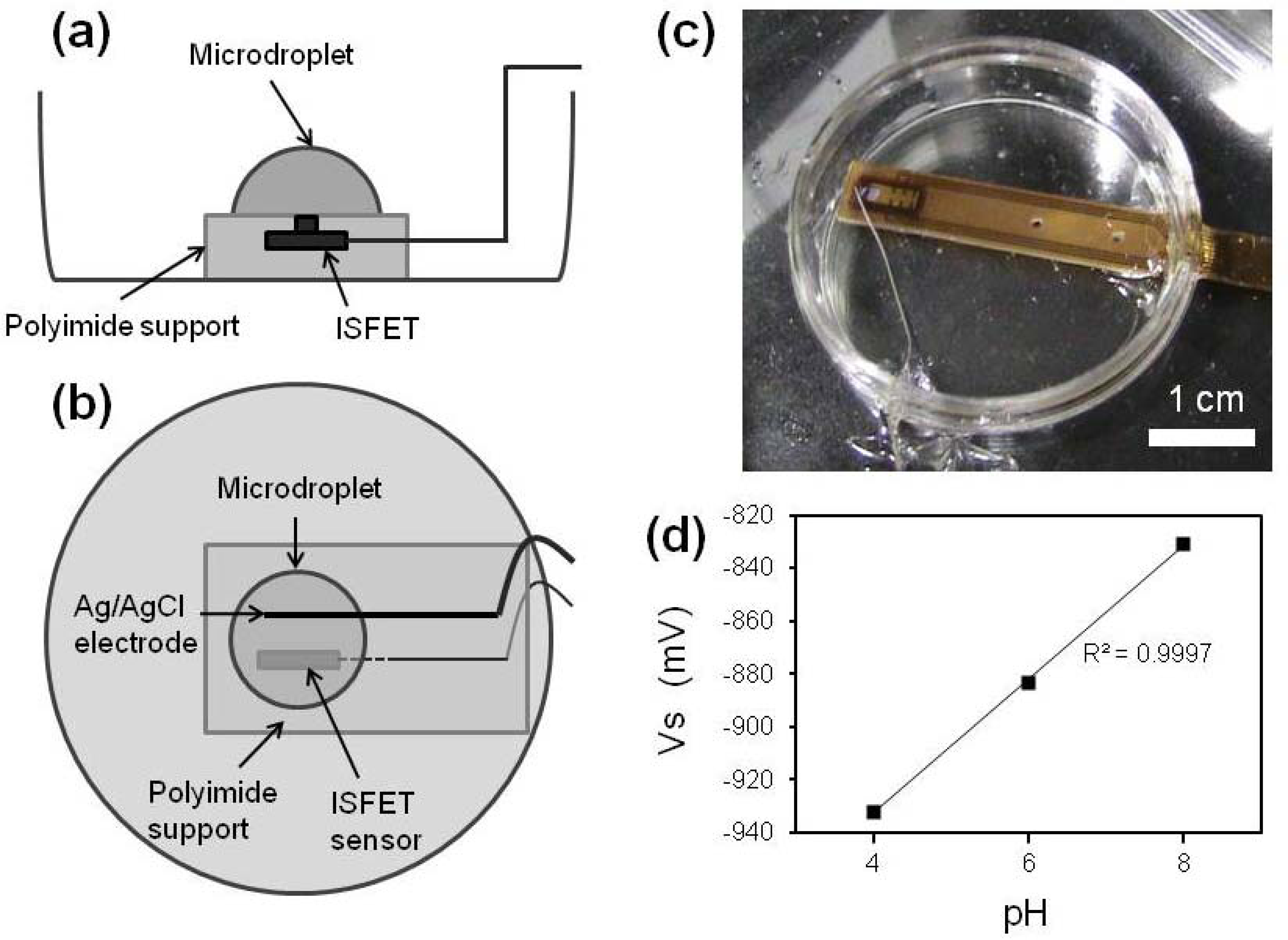 Sensors 13 02484f2 1024