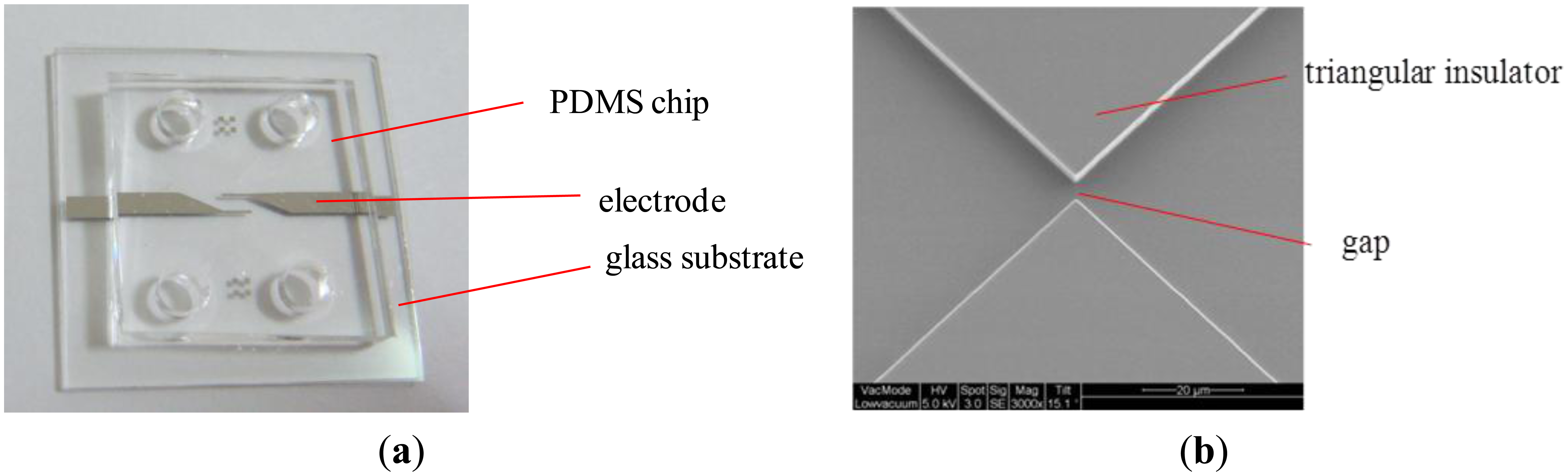 Sensors 13 02763f2 1024
