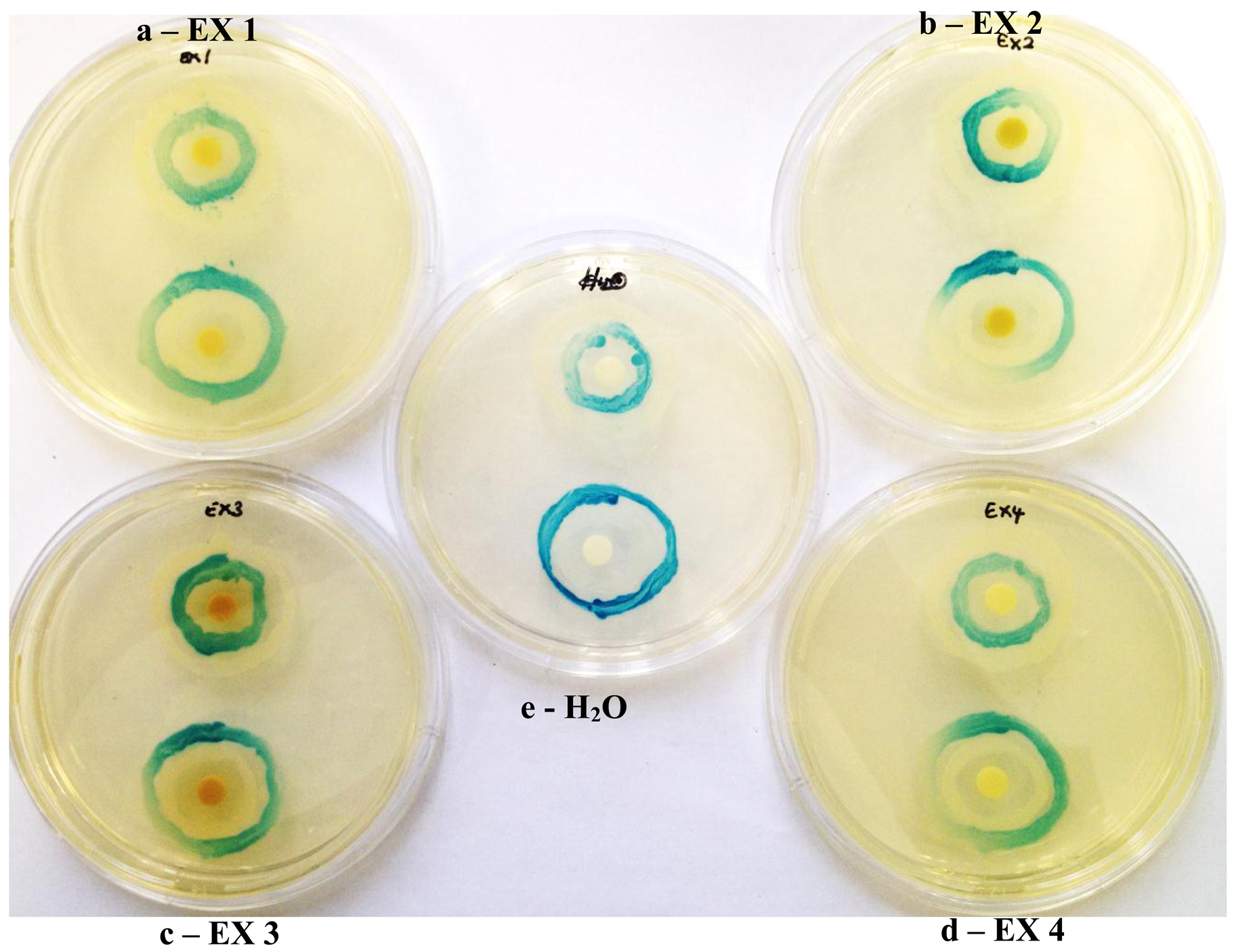 Sensors 13 02802f6 1024
