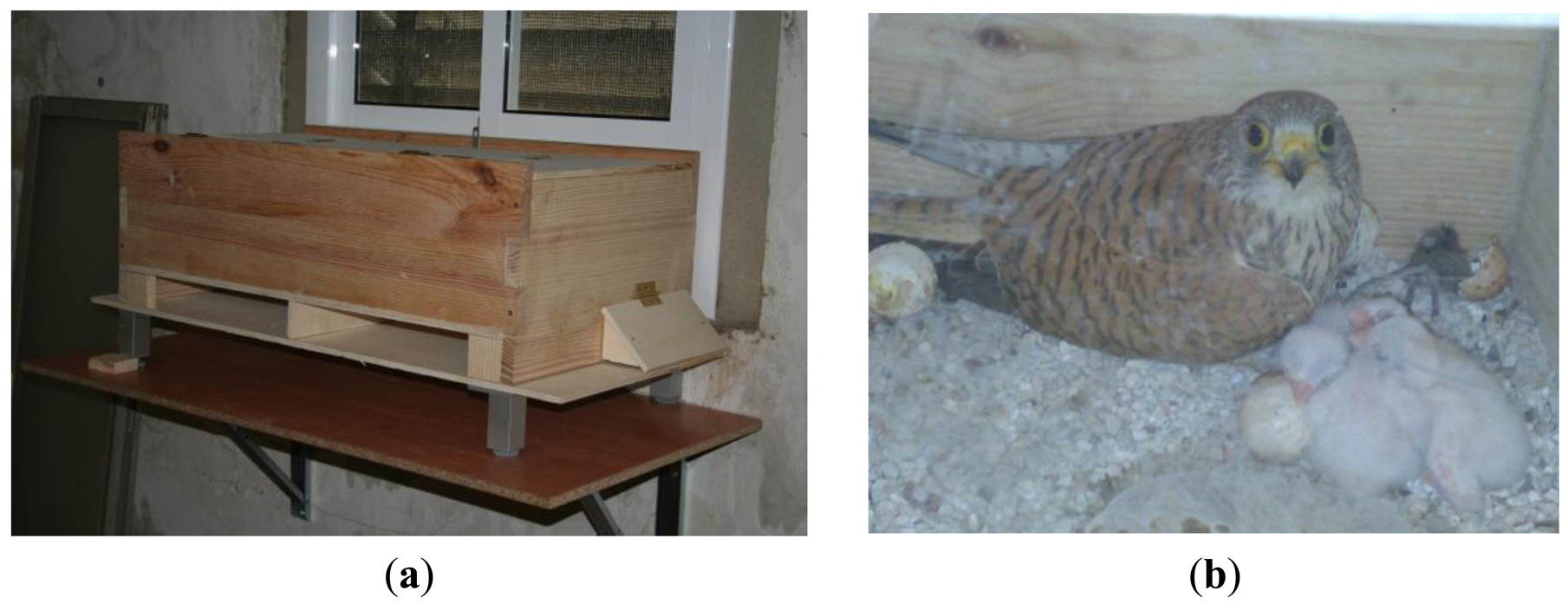 Sensors 13 02862f5 1024