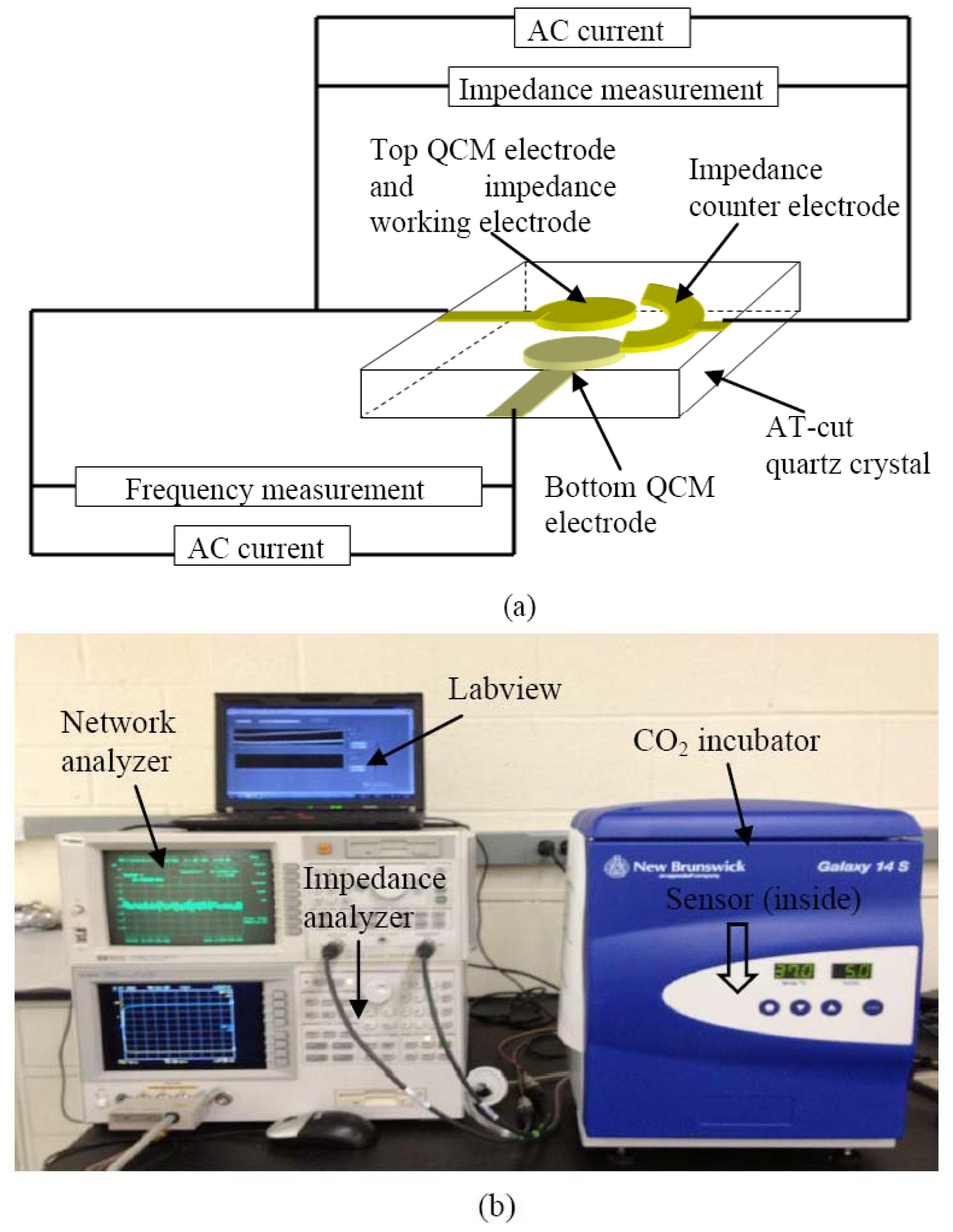 Sensors 13 03039f4 1024