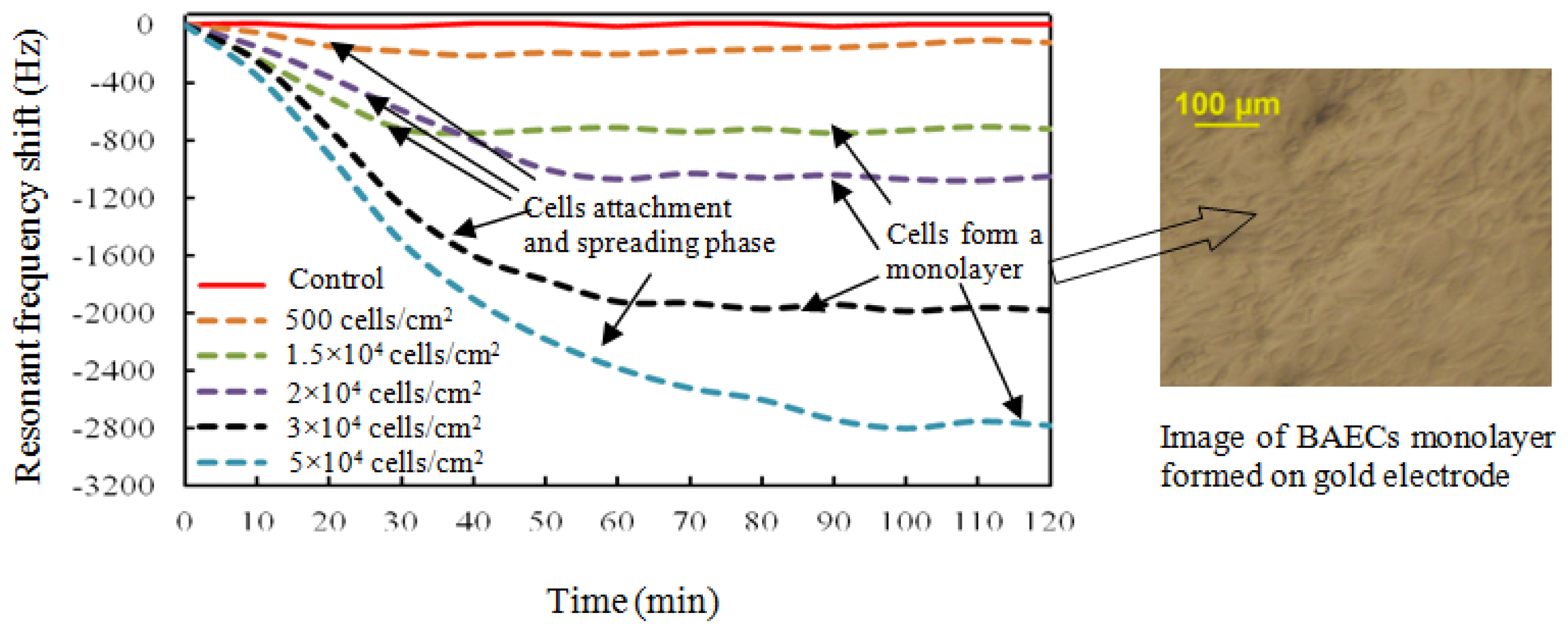 Sensors 13 03039f8 1024