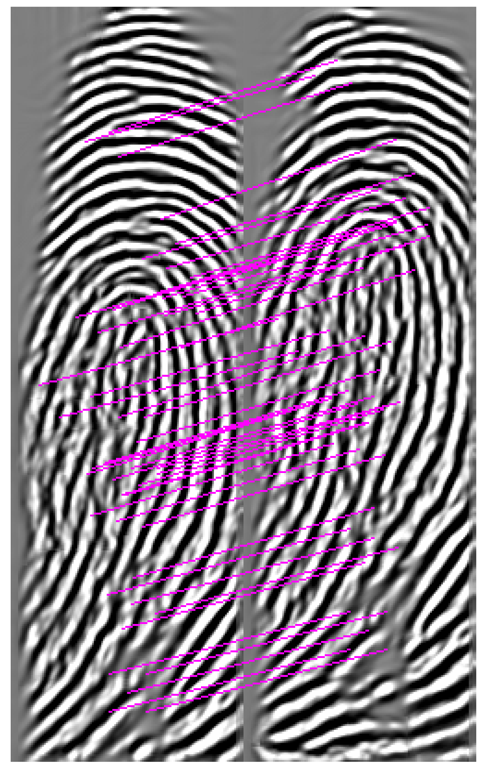 Sensors 13 03142f10 1024