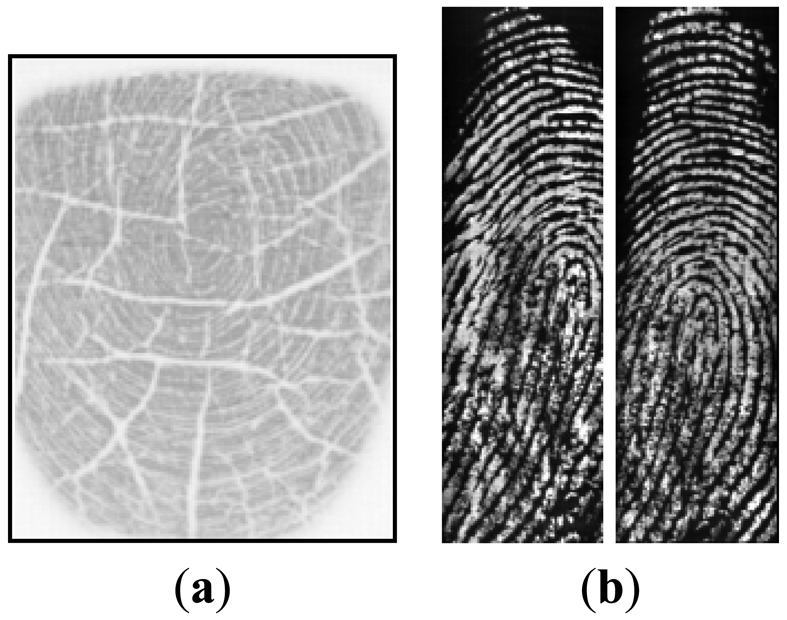 Sensors 13 03142f2 1024
