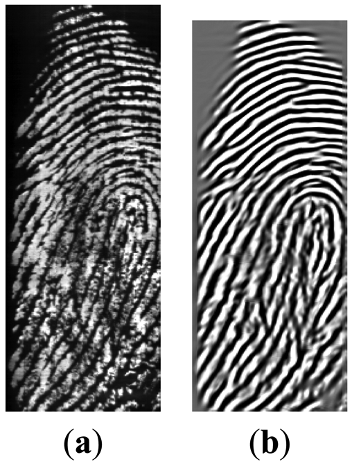 Sensors 13 03142f4 1024