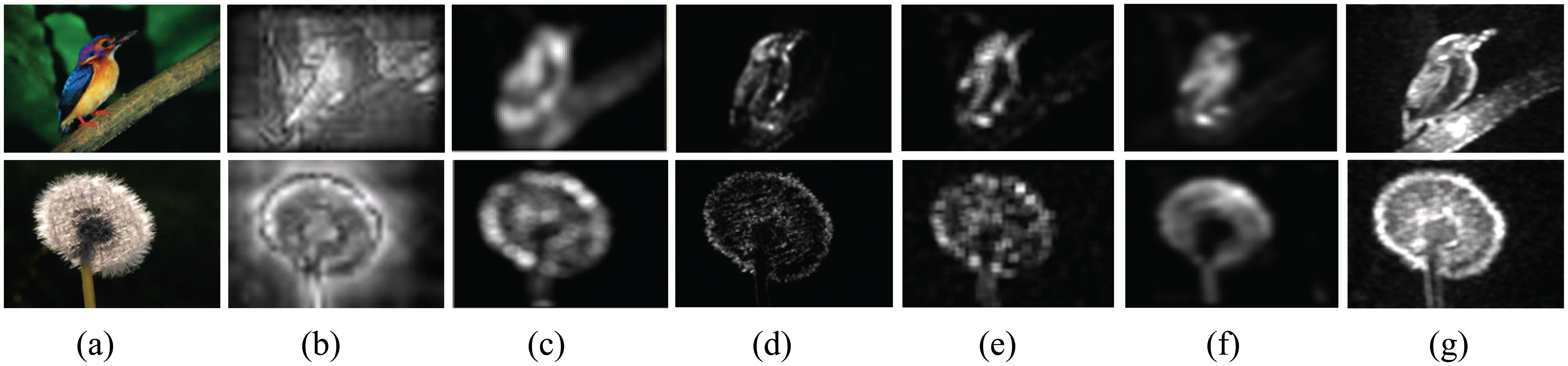 Sensors 13 03409f1 1024